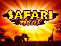 Safari Heat