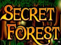 Secret Forest