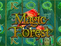 Magic Forest