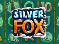 Silver Fox