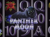 Panther Moon