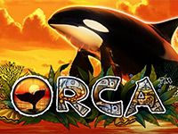 Orca